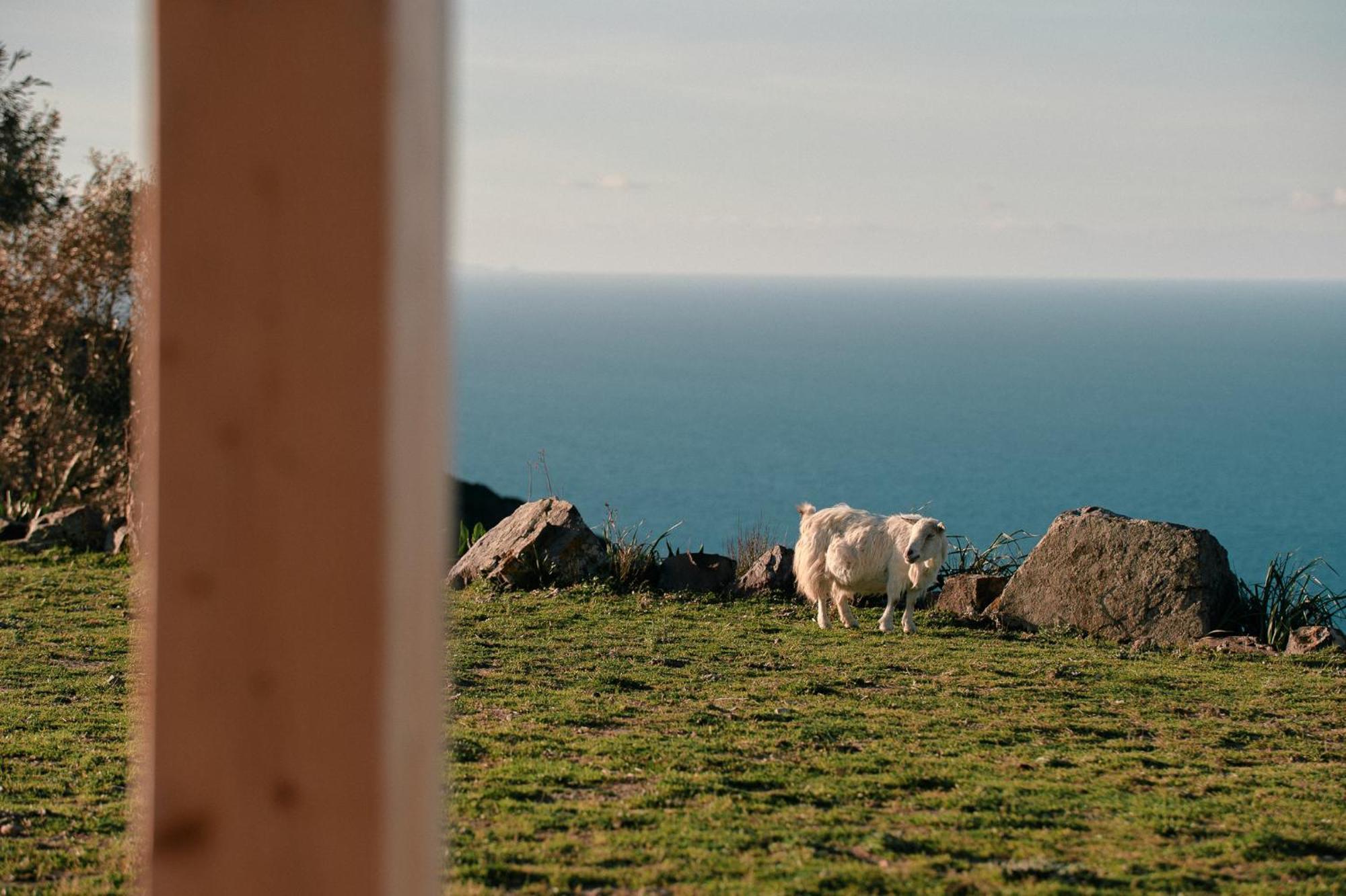 New Suites Sea View Sardinia, Castelsardo Luaran gambar